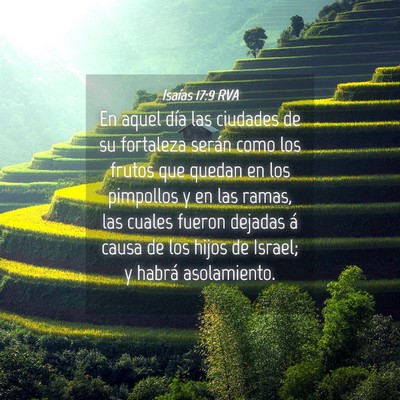 Picture 04 - Isaías 17:9 RVA - En aquel día las ciudades de su fortaleza serán - Bible Verse Picture