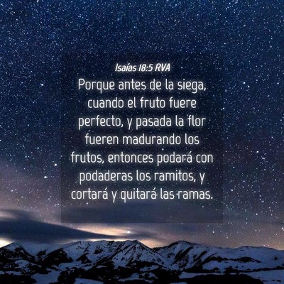 Picture 04 - Isaías 18:5 RVA - Porque antes de la siega, cuando el fruto fuere - Bible Verse Picture