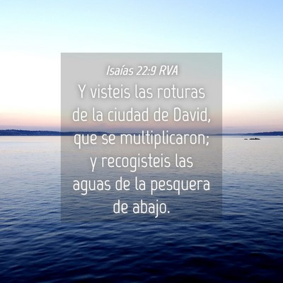 Picture 04 - Isaías 22:9 RVA - Y visteis las roturas de la ciudad de David, que - Bible Verse Picture