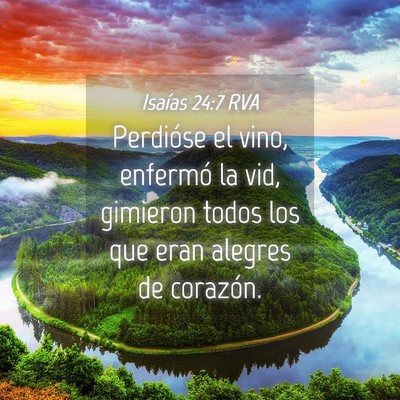 Picture 04 - Isaías 24:7 RVA - Perdióse el vino, enfermó la vid, gimieron - Bible Verse Picture