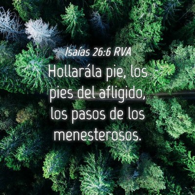 Picture 04 - Isaías 26:6 RVA - Hollarála pie, los pies del afligido, los pasos - Bible Verse Picture