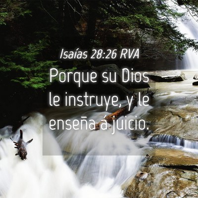 Picture 04 - Isaías 28:26 RVA - Porque su Dios le instruye, y le enseña á - Bible Verse Picture