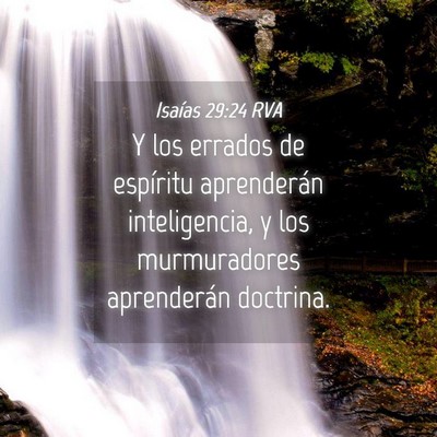 Picture 04 - Isaías 29:24 RVA - Y los errados de espíritu aprenderán - Bible Verse Picture
