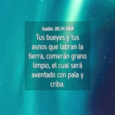 Picture 04 - Isaías 30:24 RVA - Tus bueyes y tus asnos que labran la tierra, - Bible Verse Picture