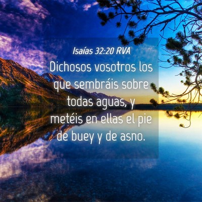 Picture 04 - Isaías 32:20 RVA - Dichosos vosotros los que sembráis sobre todas - Bible Verse Picture
