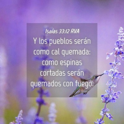 Picture 04 - Isaías 33:12 RVA - Y los pueblos serán como cal quemada: como - Bible Verse Picture