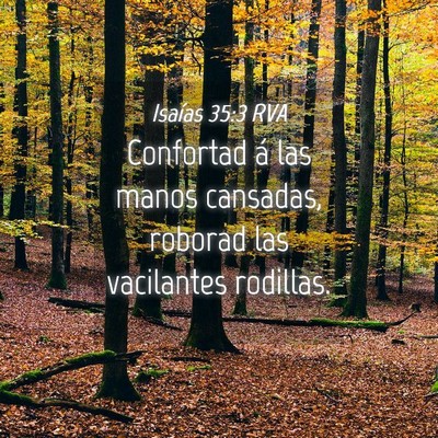 Picture 04 - Isaías 35:3 RVA - Confortad á las manos cansadas, roborad las - Bible Verse Picture