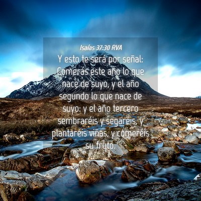 Picture 04 - Isaías 37:30 RVA - Y esto te será por señal: Comerás este año lo - Bible Verse Picture