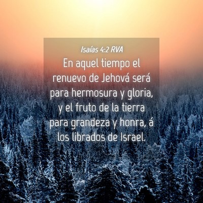 Picture 04 - Isaías 4:2 RVA - En aquel tiempo el renuevo de Jehová será para - Bible Verse Picture