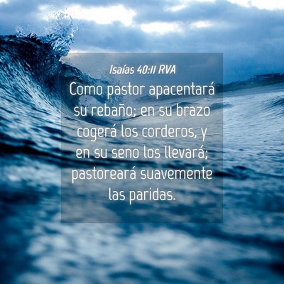 Picture 04 - Isaías 40:11 RVA - Como pastor apacentará su rebaño; en su brazo - Bible Verse Picture
