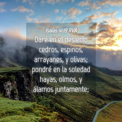 Picture 04 - Isaías 41:19 RVA - Daré en el desierto cedros, espinos, arrayanes, - Bible Verse Picture