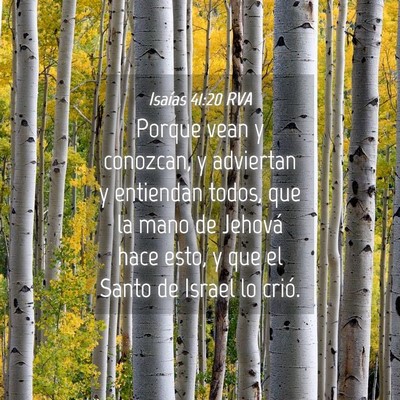 Picture 04 - Isaías 41:20 RVA - Porque vean y conozcan, y adviertan y entiendan - Bible Verse Picture