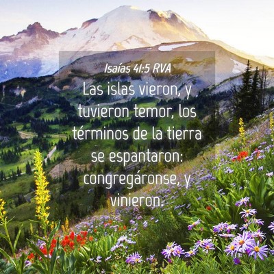 Picture 04 - Isaías 41:5 RVA - Las islas vieron, y tuvieron temor, los términos - Bible Verse Picture