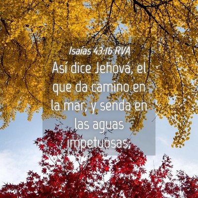 Picture 04 - Isaías 43:16 RVA - Así dice Jehová, el que da camino en la mar, y - Bible Verse Picture