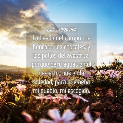 Picture 04 - Isaías 43:20 RVA - La bestia del campo me honrará, los chacales, y - Bible Verse Picture