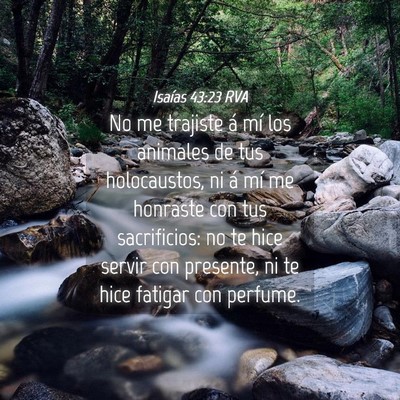 Picture 04 - Isaías 43:23 RVA - No me trajiste á mí los animales de tus - Bible Verse Picture