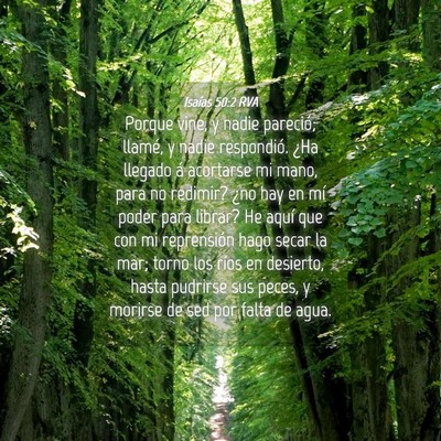 Picture 04 - Isaías 50:2 RVA - Porque vine, y nadie pareció; llamé, y nadie - Bible Verse Picture