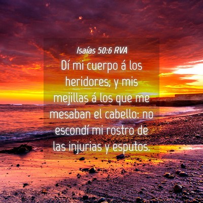 Picture 04 - Isaías 50:6 RVA - Dí mi cuerpo á los heridores, y mis mejillas á - Bible Verse Picture