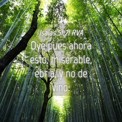 Picture 04 - Isaías 51:21 RVA - Oye pues ahora esto, miserable, ebria, y no de - Bible Verse Picture