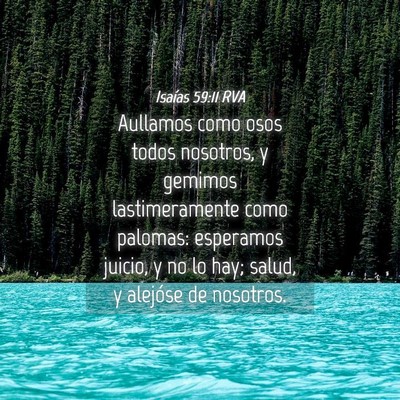 Picture 04 - Isaías 59:11 RVA - Aullamos como osos todos nosotros, y gemimos - Bible Verse Picture