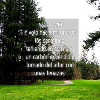 Picture 04 - Isaías 6:6 RVA - Y voló hacia mí uno de los serafines, teniendo - Bible Verse Picture