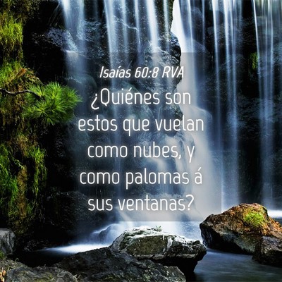 Picture 04 - Isaías 60:8 RVA - ¿Quiénes son estos que vuelan como nubes, y - Bible Verse Picture