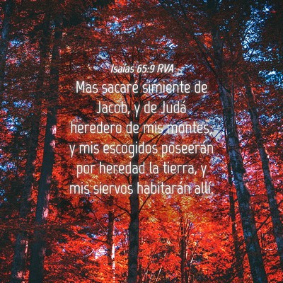 Picture 04 - Isaías 65:9 RVA - Mas sacaré simiente de Jacob, y de Judá - Bible Verse Picture