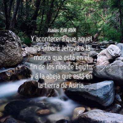 Picture 04 - Isaías 7:18 RVA - Y acontecerá que aquel día silbará Jehová á - Bible Verse Picture