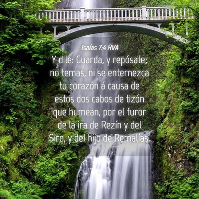 Picture 04 - Isaías 7:4 RVA - Y dile: Guarda, y repósate; no temas, ni se - Bible Verse Picture