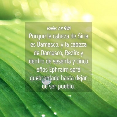 Picture 04 - Isaías 7:8 RVA - Porque la cabeza de Siria es Damasco, y la cabeza - Bible Verse Picture