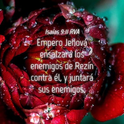 Picture 04 - Isaías 9:11 RVA - Empero Jehová ensalzará los enemigos de Rezín - Bible Verse Picture
