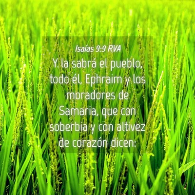 Picture 04 - Isaías 9:9 RVA - Y la sabrá el pueblo, todo él, Ephraim y los - Bible Verse Picture