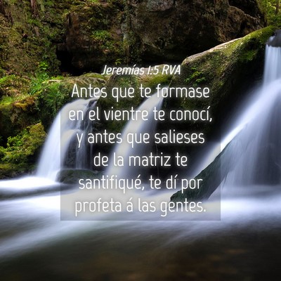Picture 04 - Jeremías 1:5 RVA - Antes que te formase en el vientre te conocí, y - Bible Verse Picture
