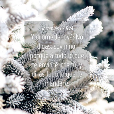 Picture 04 - Jeremías 1:7 RVA - Y díjome Jehová: No digas, soy niño; porque á - Bible Verse Picture