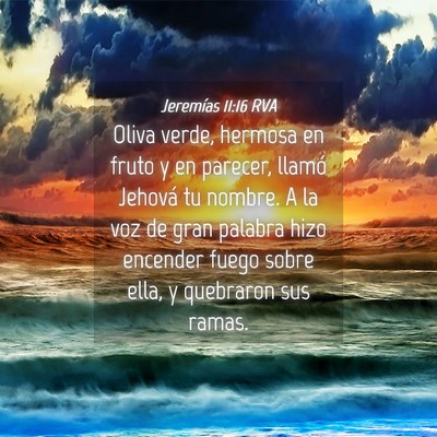 Picture 04 - Jeremías 11:16 RVA - Oliva verde, hermosa en fruto y en parecer, - Bible Verse Picture