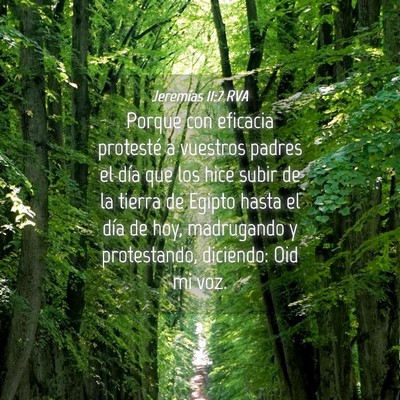 Picture 04 - Jeremías 11:7 RVA - Porque con eficacia protesté a vuestros padres - Bible Verse Picture
