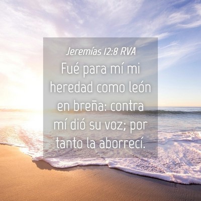 Picture 04 - Jeremías 12:8 RVA - Fué para mí mi heredad como león en breña: - Bible Verse Picture