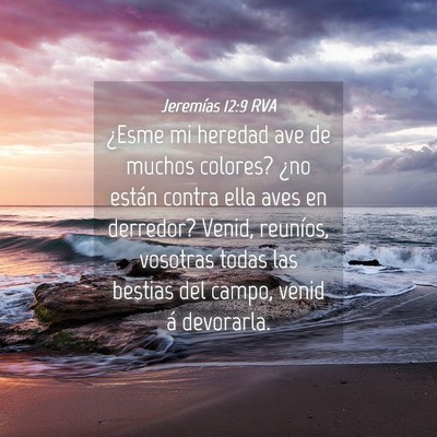Picture 04 - Jeremías 12:9 RVA - ¿Esme mi heredad ave de muchos colores? ¿no - Bible Verse Picture