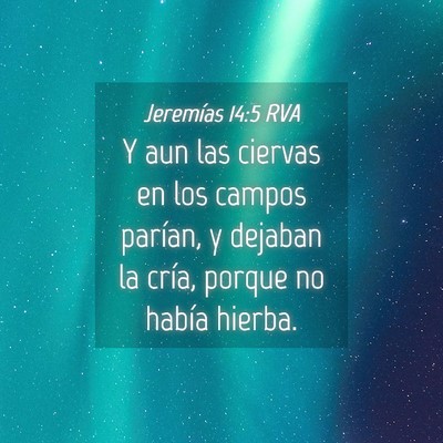 Picture 04 - Jeremías 14:5 RVA - Y aun las ciervas en los campos parían, y - Bible Verse Picture