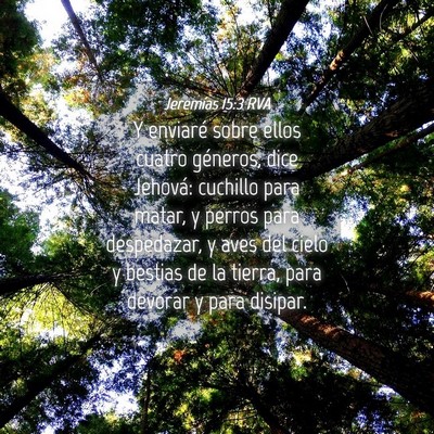 Picture 04 - Jeremías 15:3 RVA - Y enviaré sobre ellos cuatro géneros, dice - Bible Verse Picture