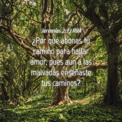 Picture 04 - Jeremías 2:33 RVA - ¿Por qué abonas tu camino para hallar amor, - Bible Verse Picture