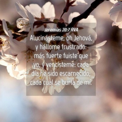 Picture 04 - Jeremías 20:7 RVA - Alucinásteme, oh Jehová, y hállome frustrado: - Bible Verse Picture