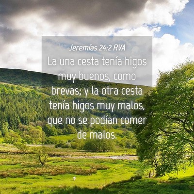 Picture 04 - Jeremías 24:2 RVA - La una cesta tenía higos muy buenos, como - Bible Verse Picture