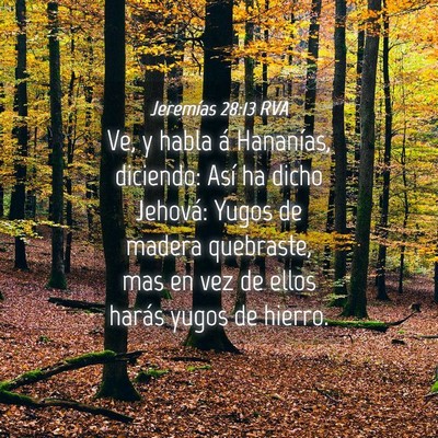 Picture 04 - Jeremías 28:13 RVA - Ve, y habla á Hananías, diciendo: Así ha dicho - Bible Verse Picture