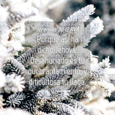 Picture 04 - Jeremías 30:12 RVA - Porque así ha dicho Jehová: Desahuciado es tu - Bible Verse Picture