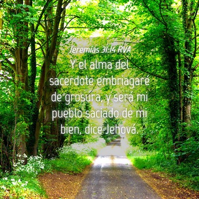 Picture 04 - Jeremías 31:14 RVA - Y el alma del sacerdote embriagaré de grosura, y - Bible Verse Picture
