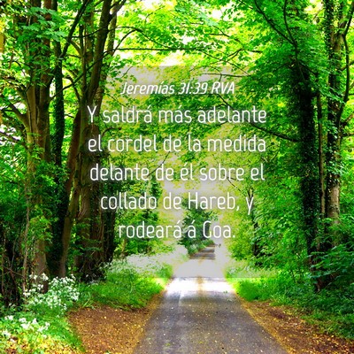 Picture 04 - Jeremías 31:39 RVA - Y saldrá más adelante el cordel de la medida - Bible Verse Picture