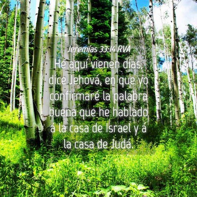 Picture 04 - Jeremías 33:14 RVA - He aquí vienen días, dice Jehová, en que yo - Bible Verse Picture