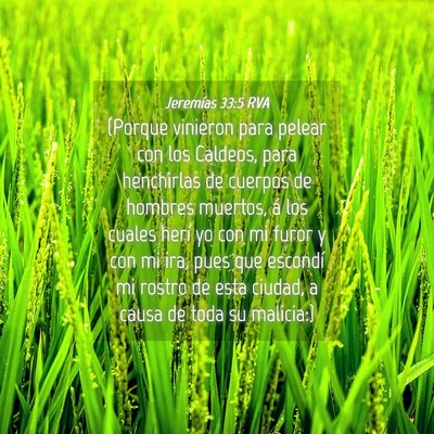 Picture 04 - Jeremías 33:5 RVA - (Porque vinieron para pelear con los Caldeos, - Bible Verse Picture
