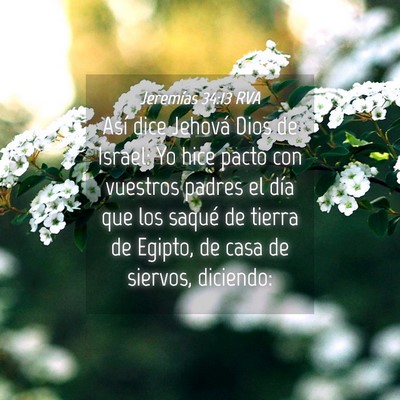 Picture 04 - Jeremías 34:13 RVA - Así dice Jehová Dios de Israel: Yo hice pacto - Bible Verse Picture